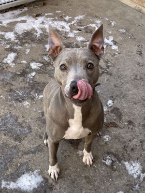 Tyson