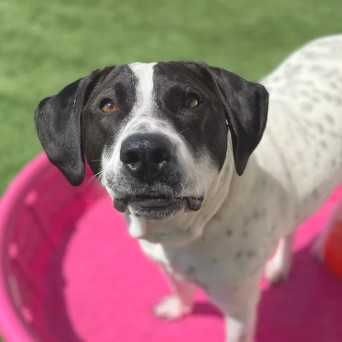 Ernie