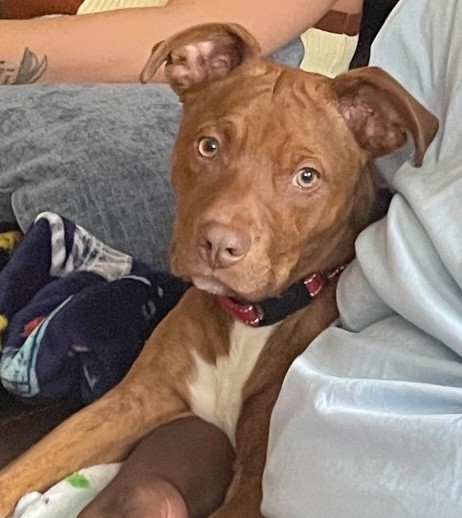 Tucker