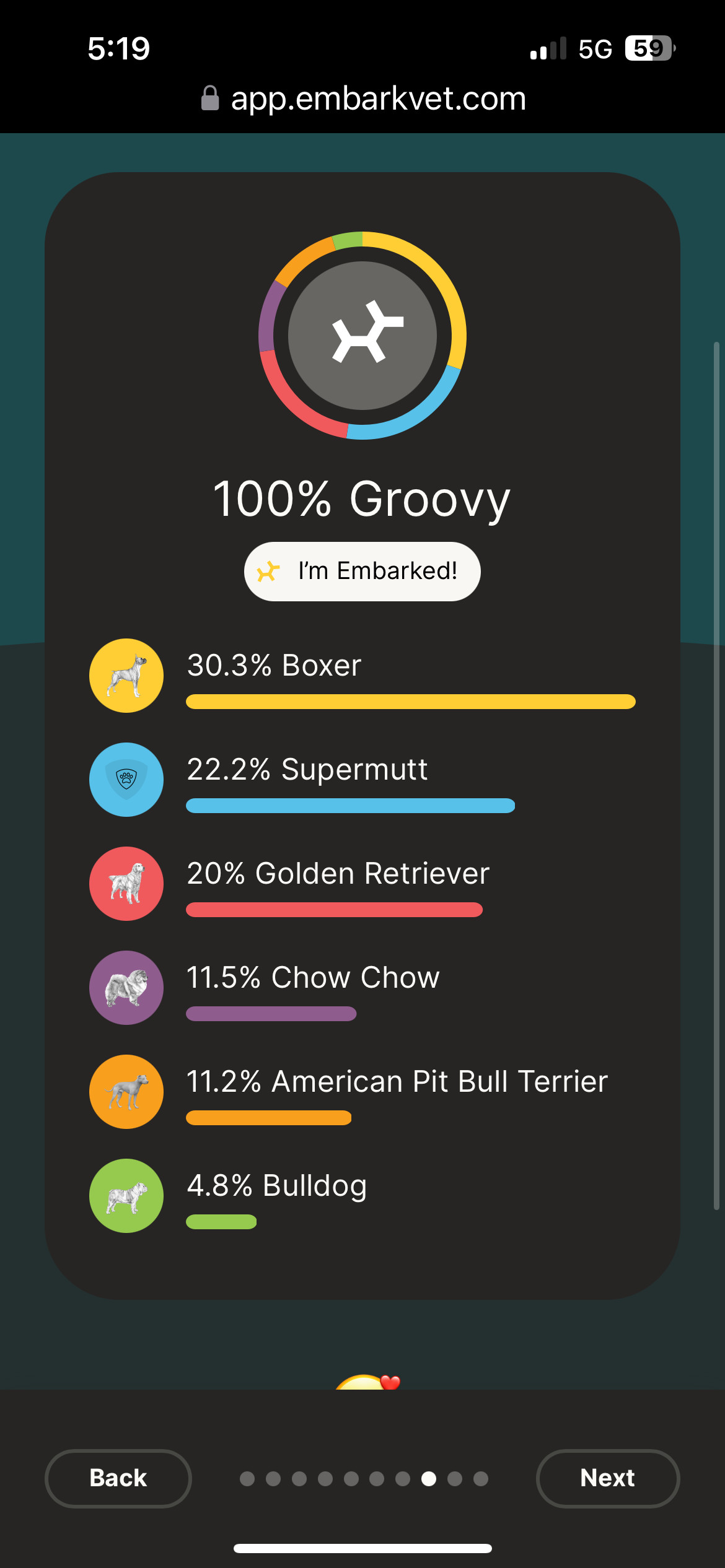 Groovy Greggy