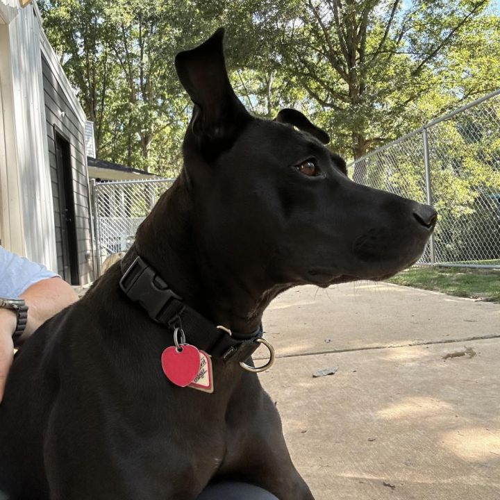 Maggie 3