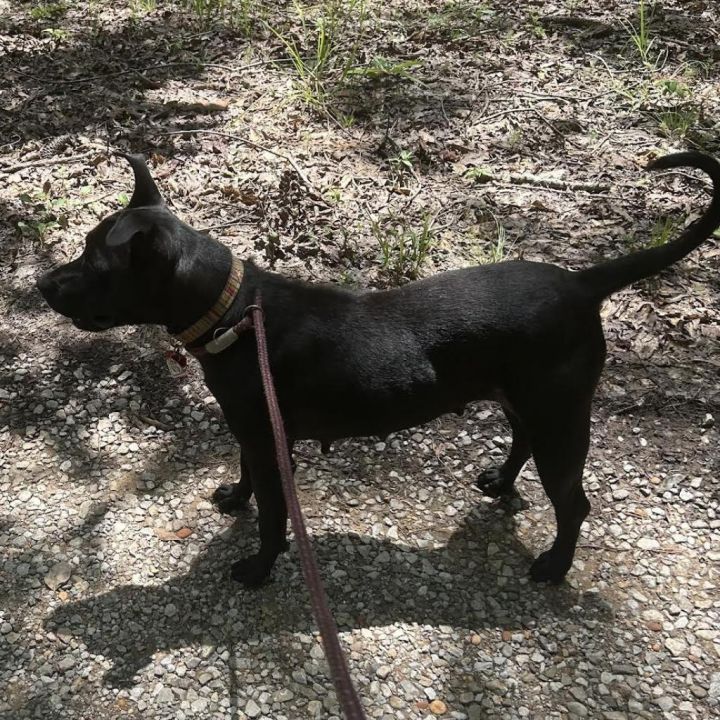 Maggie 6