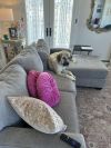 Buddy photo 3