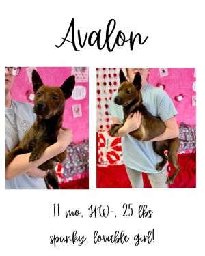 Avalon, Young Female unknown