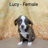 Lucy