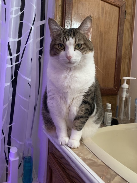 Bella