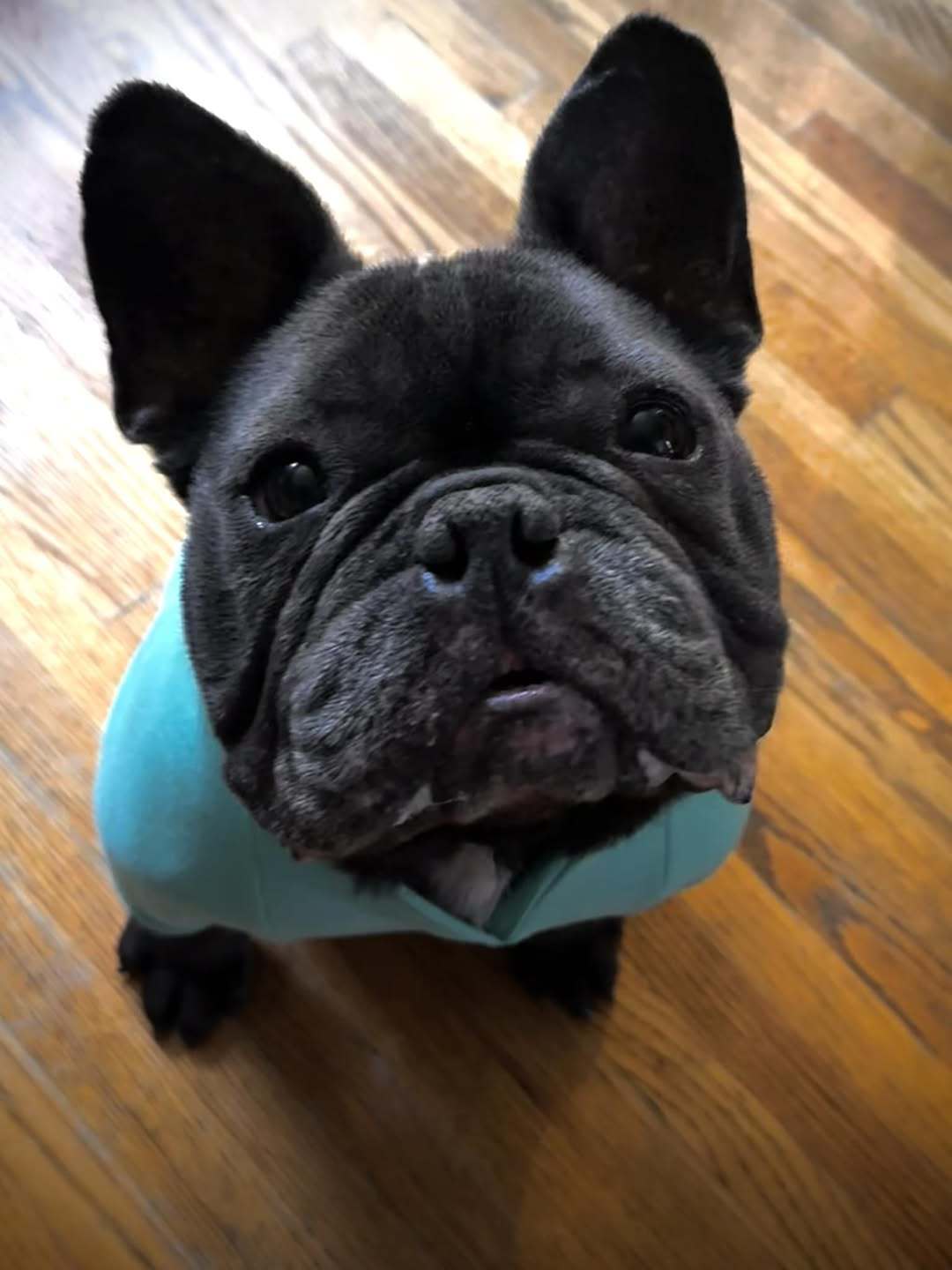 Harlan