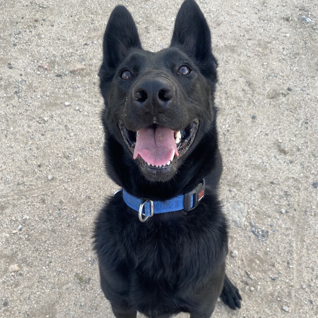 Duke A2124615
