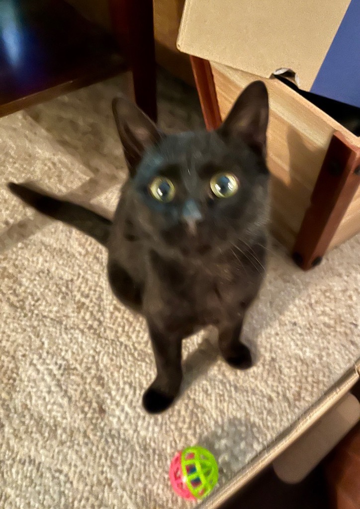 Munchkin