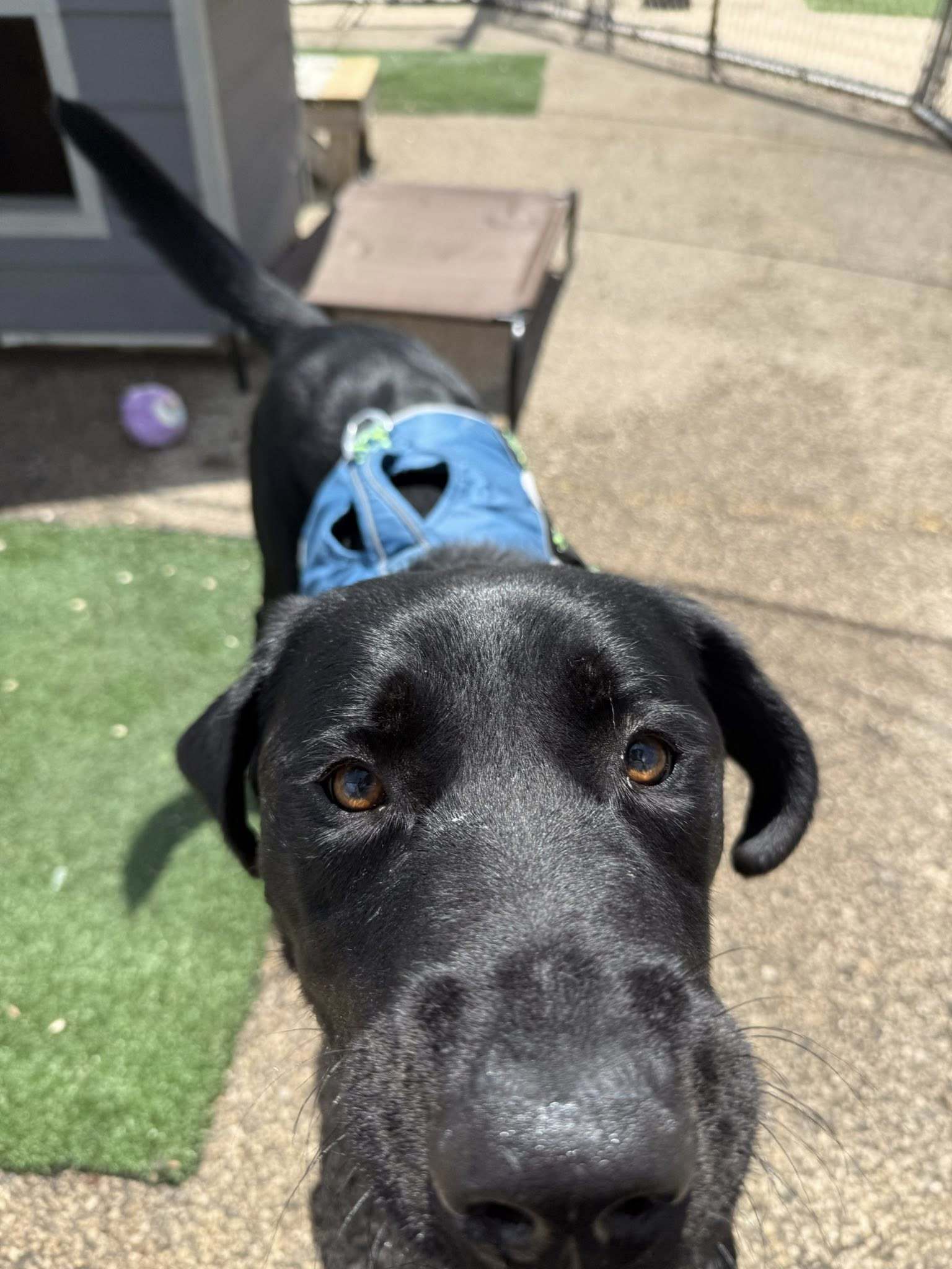 Max