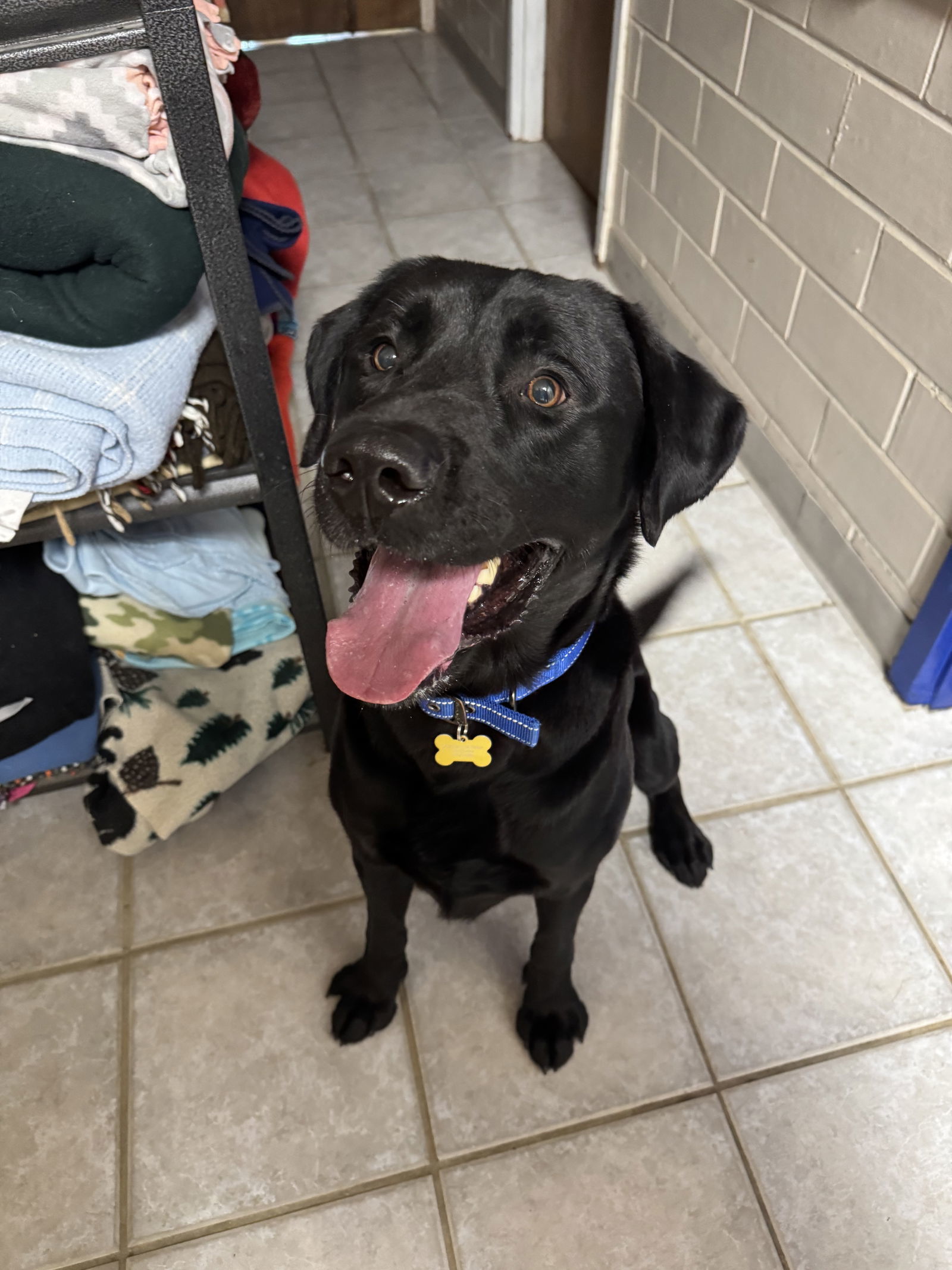 Max
