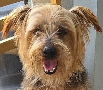 Max