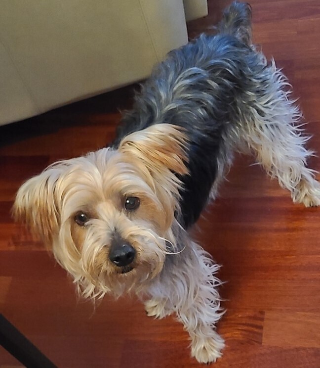 Max