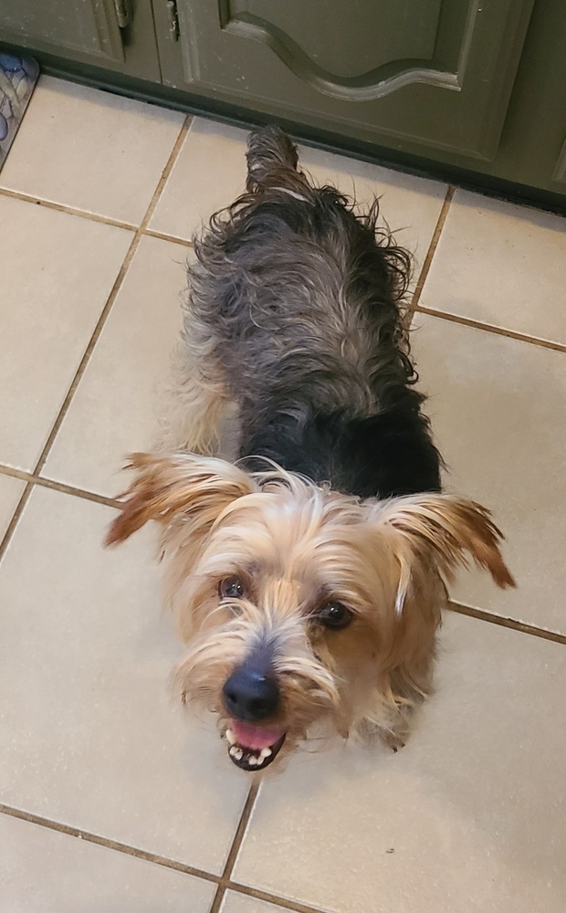 Max