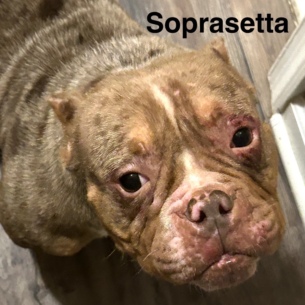 Soppressata