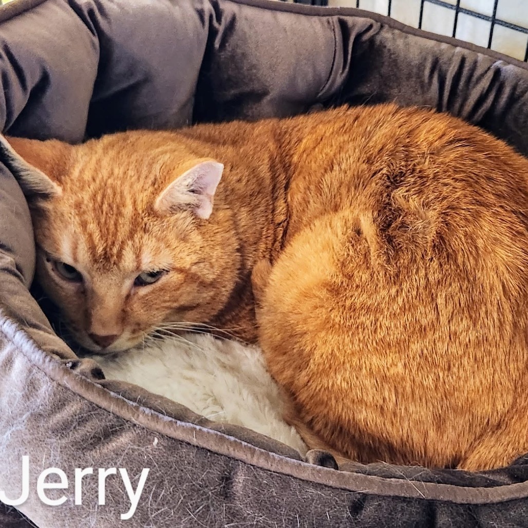Jerry