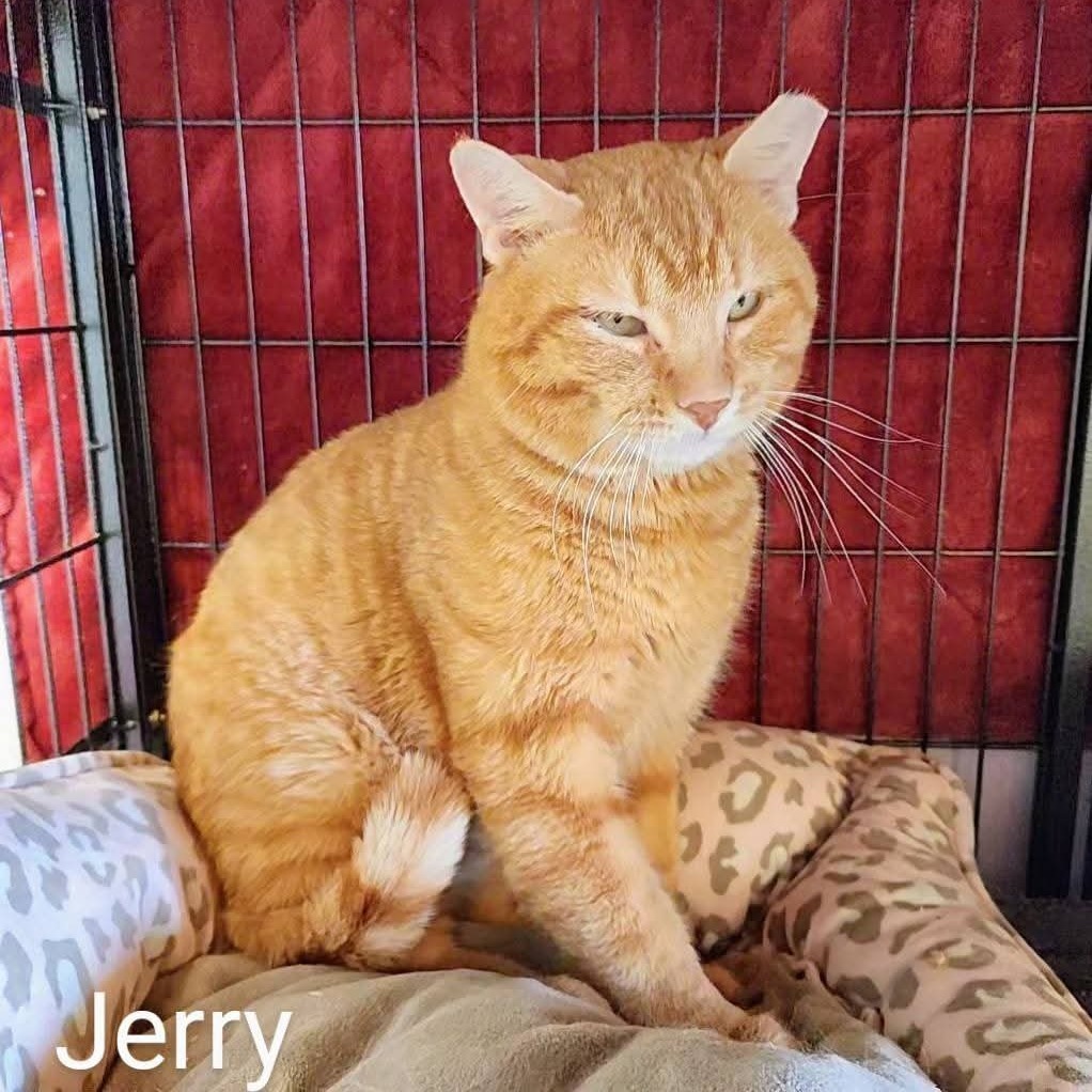 Jerry