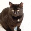 Mr. Sid photo 3