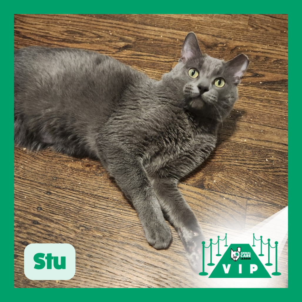 Stu