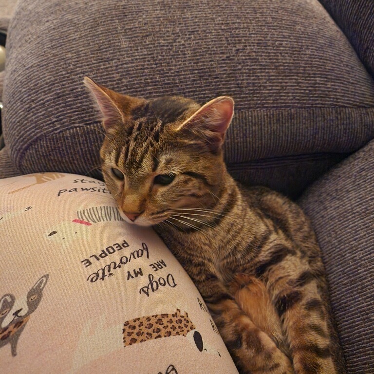 Amanda