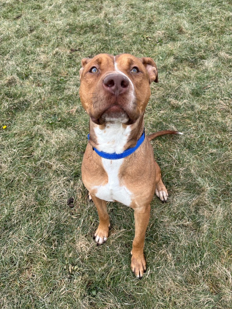 Zeus