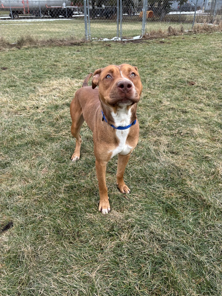 Zeus