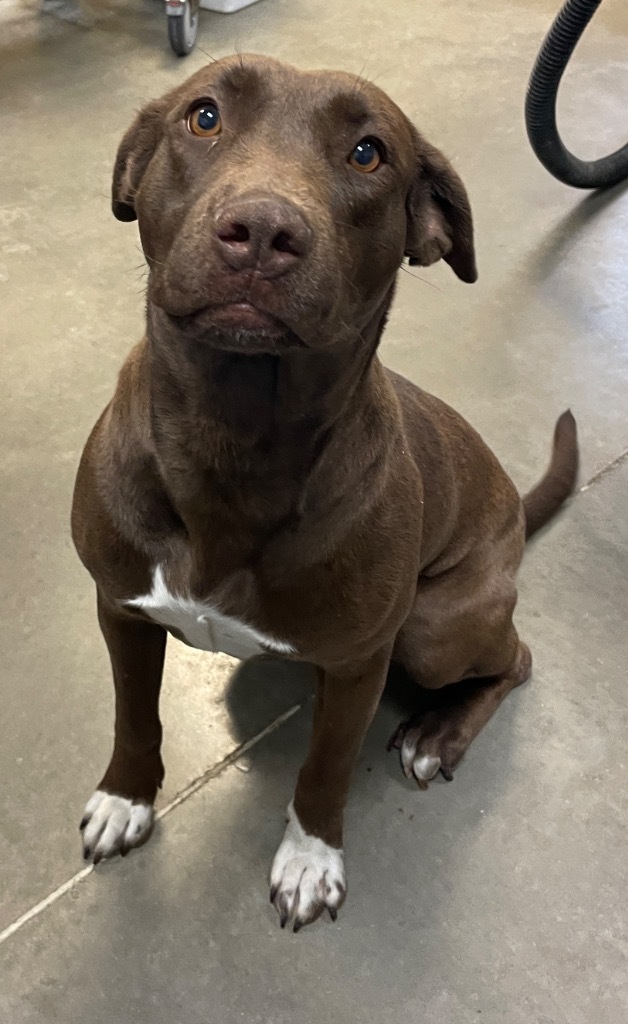 Winnie