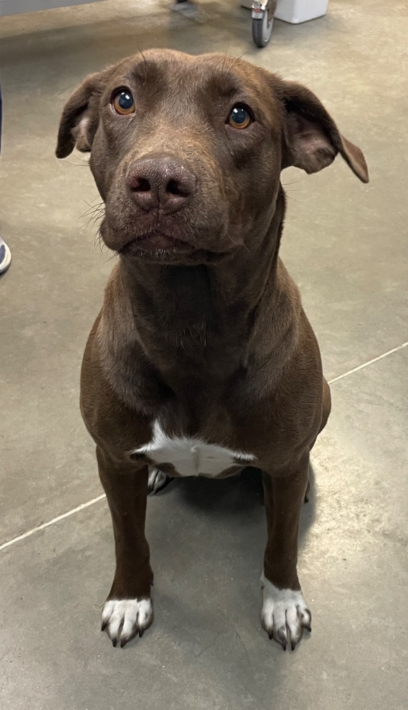 Winnie