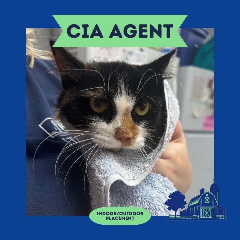 Agent Margo