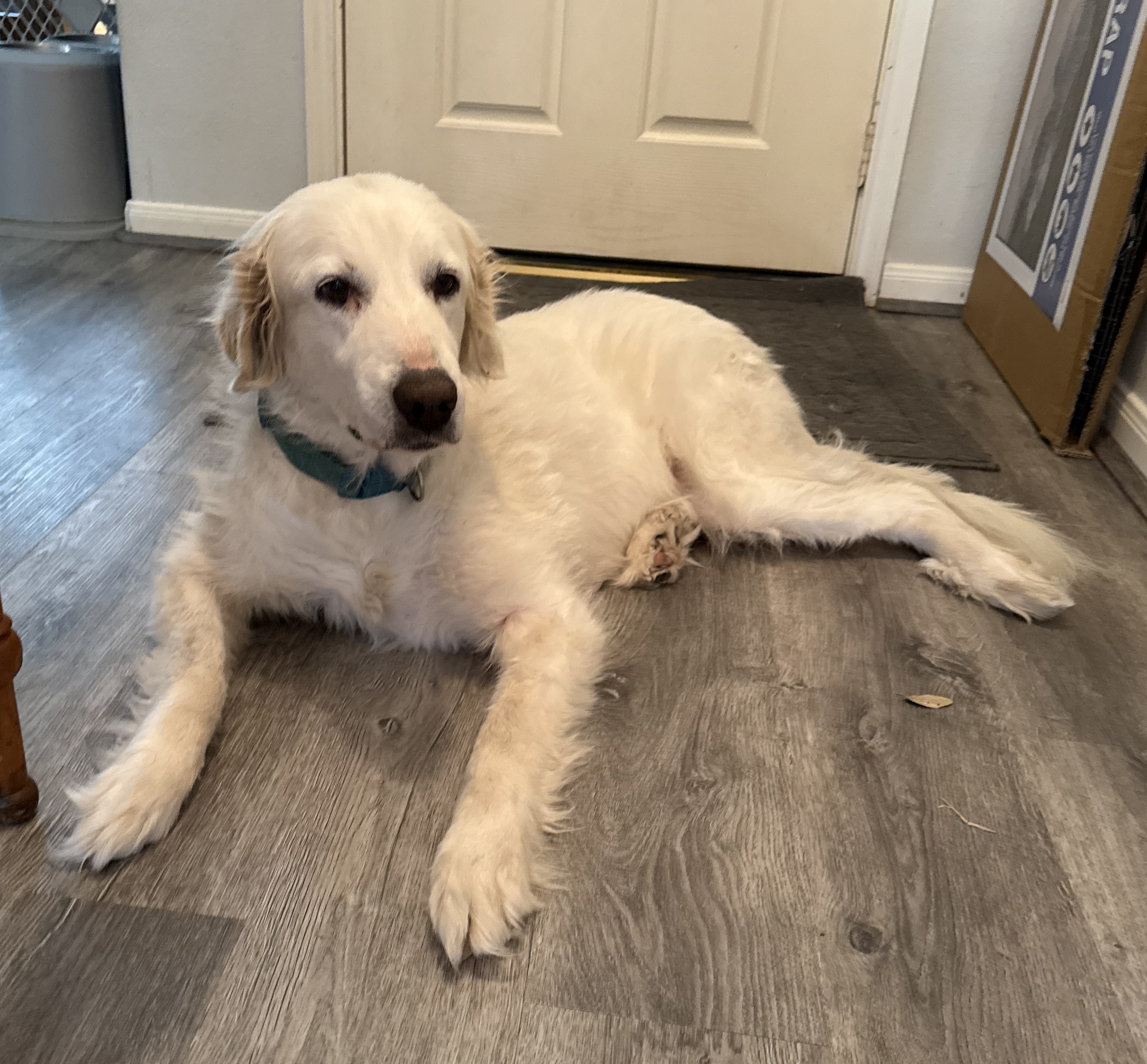 Wendy Peffercorn HTX