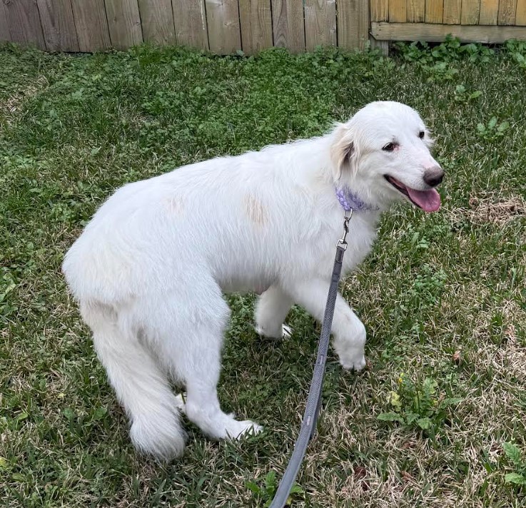 Wendy Peffercorn HTX