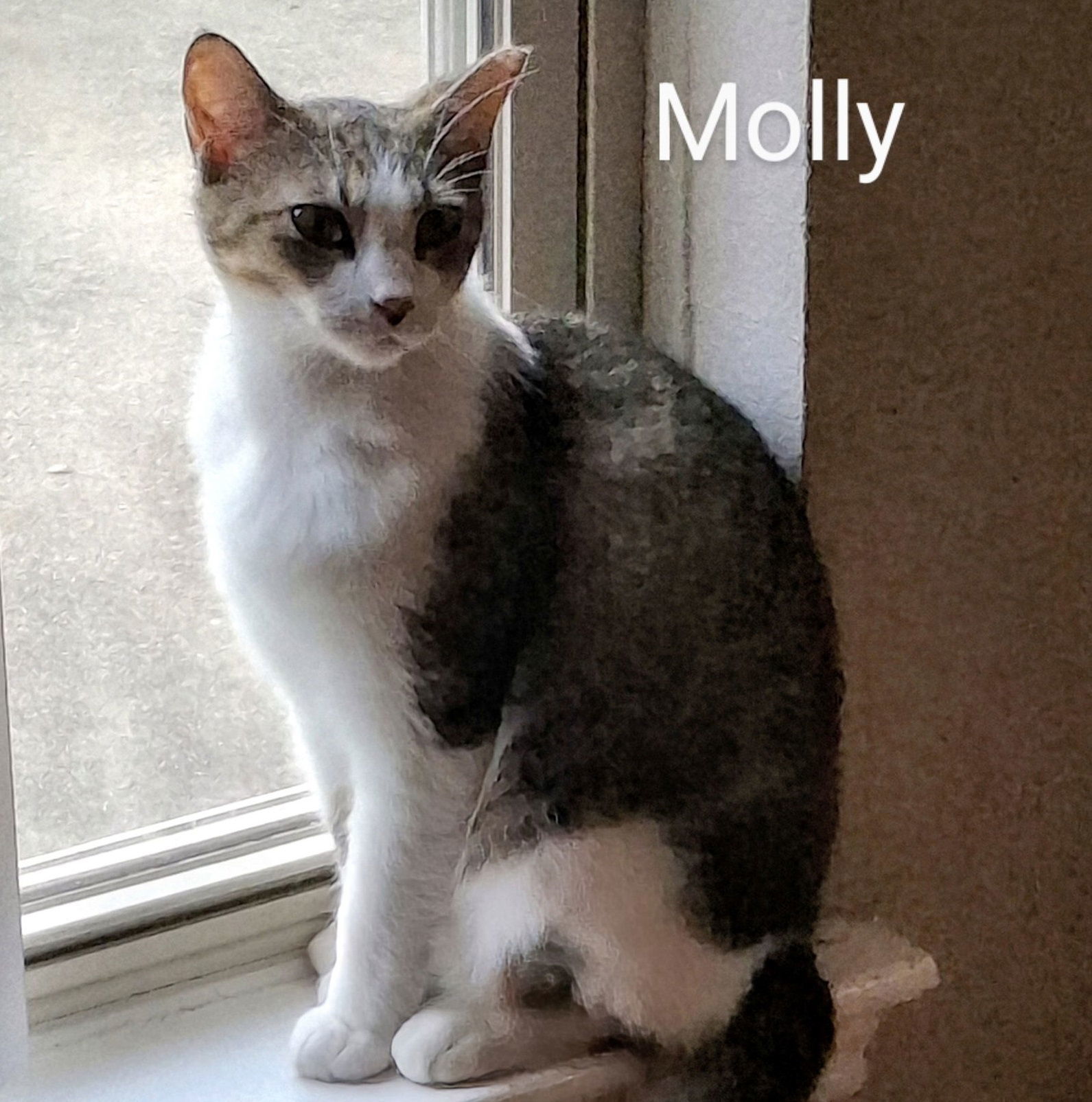 Molly #snugglicious