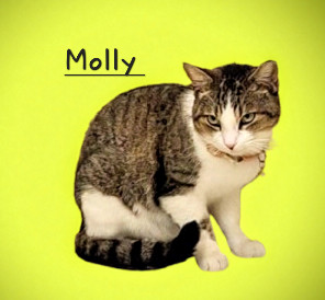 Molly #snugglicious