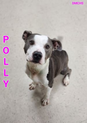 Polly