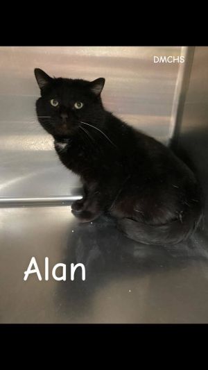 Alan