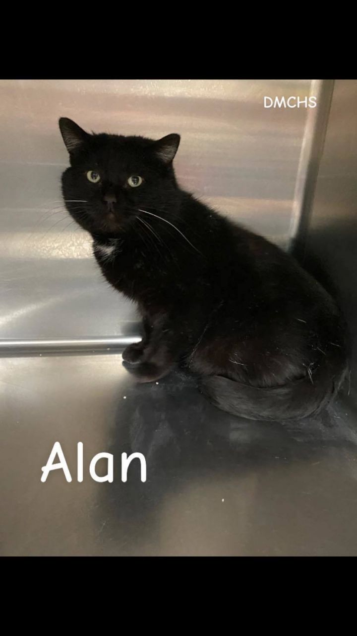 Alan 1