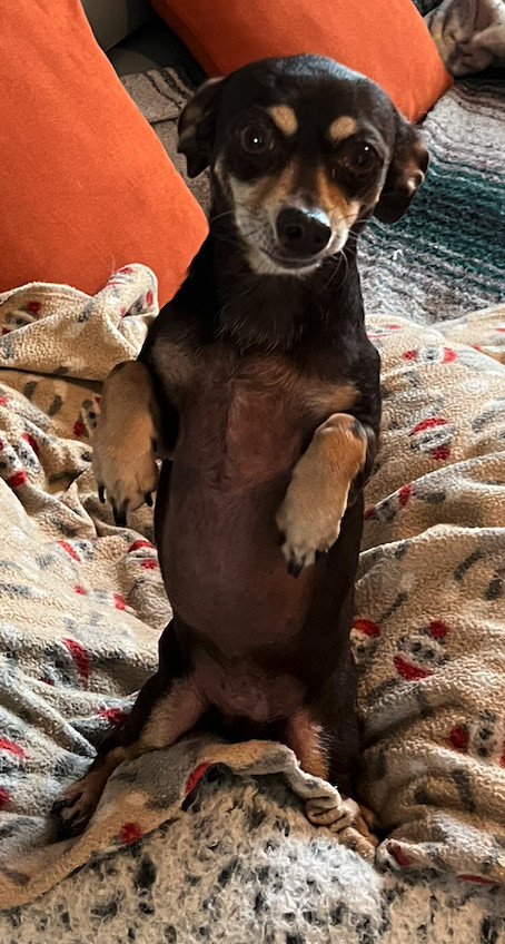 Peanut Butter 1