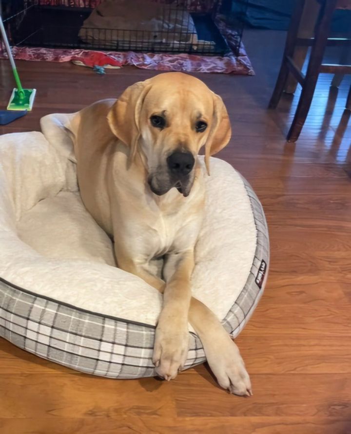 DUKE 1