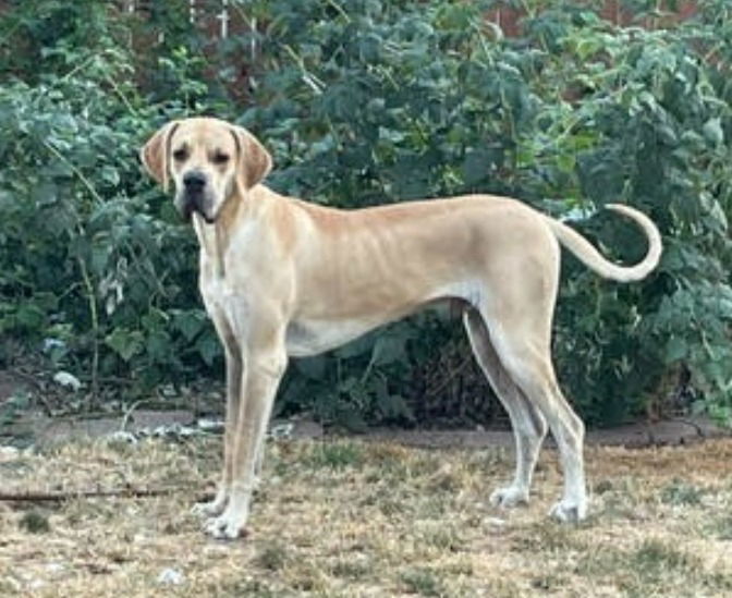 DUKE 3