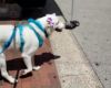 Penelope SAT photo 3