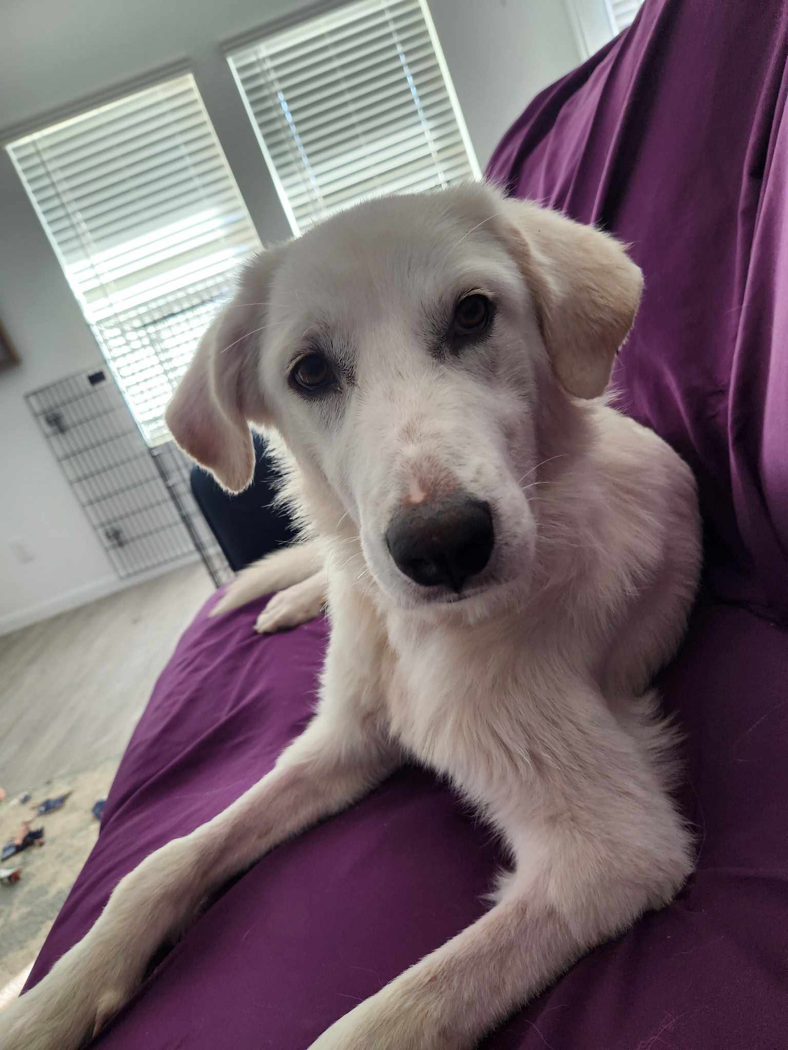Penelope SAT
