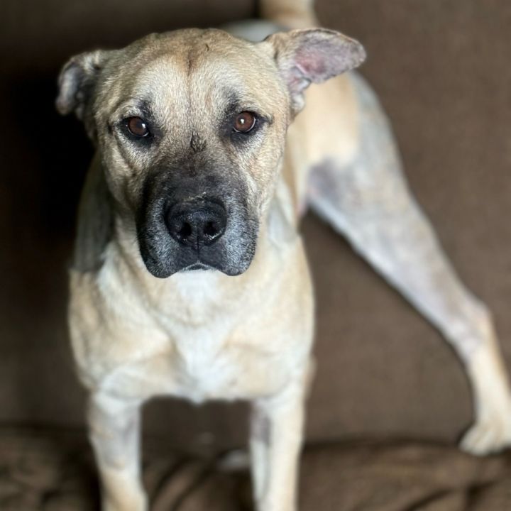 Max 25-01-080 3