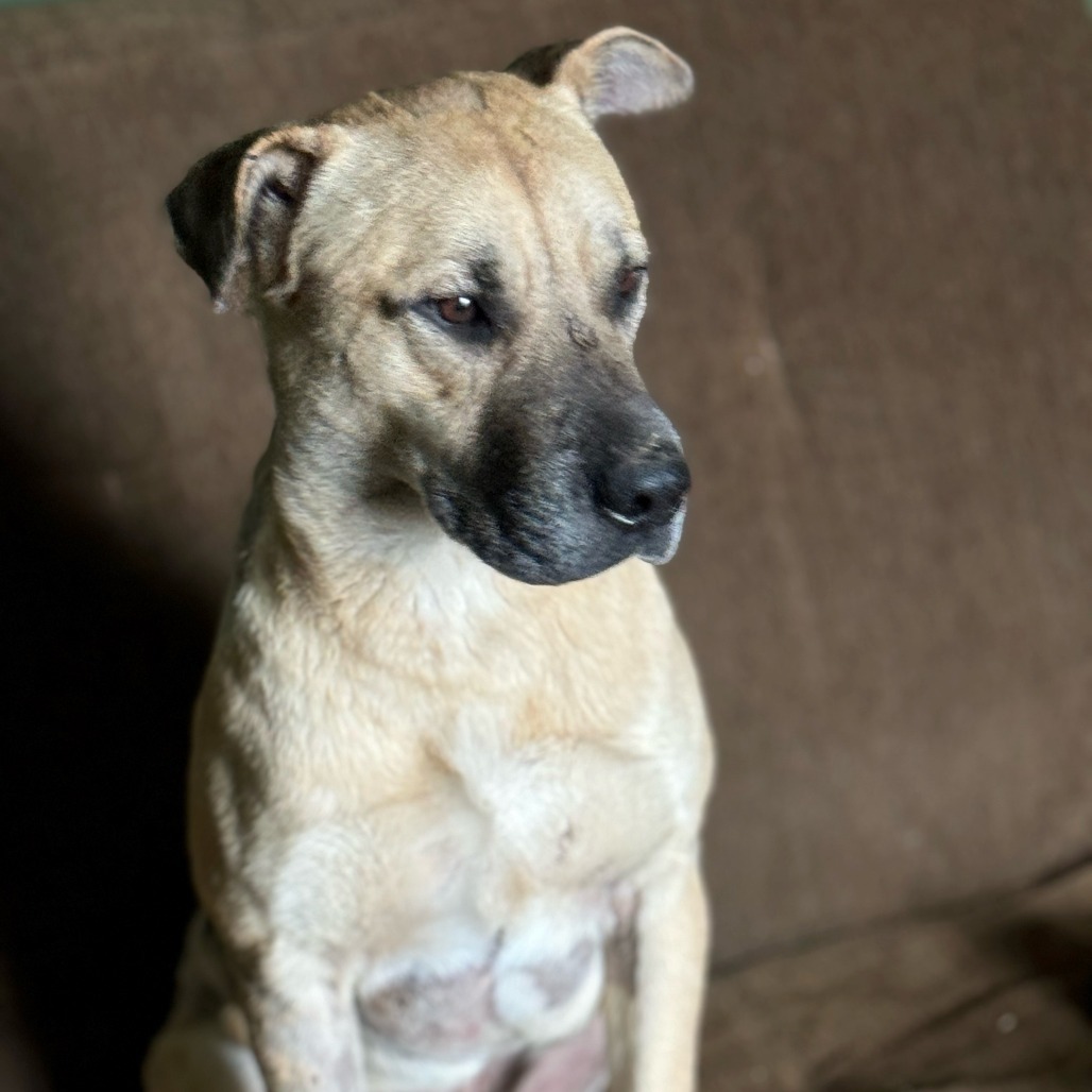 Max 25-01-080