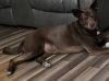 Lola photo 4