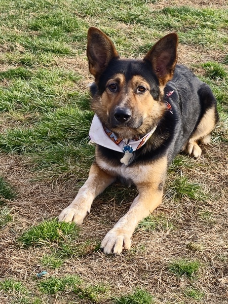 Kenai