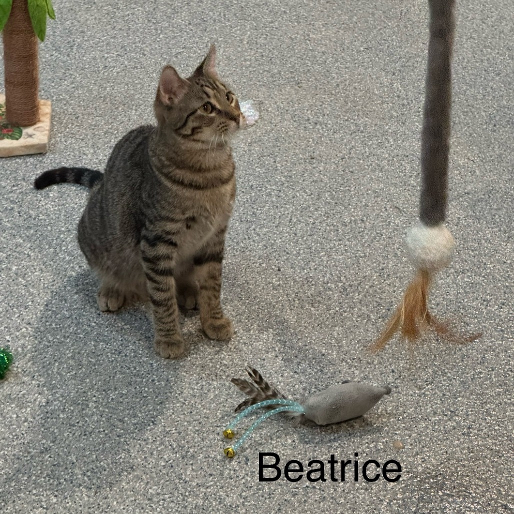 Beatrice