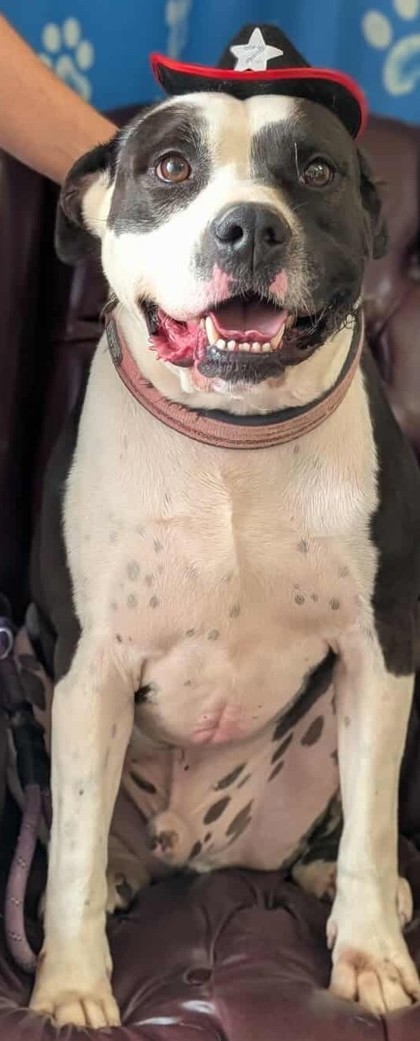 Malik