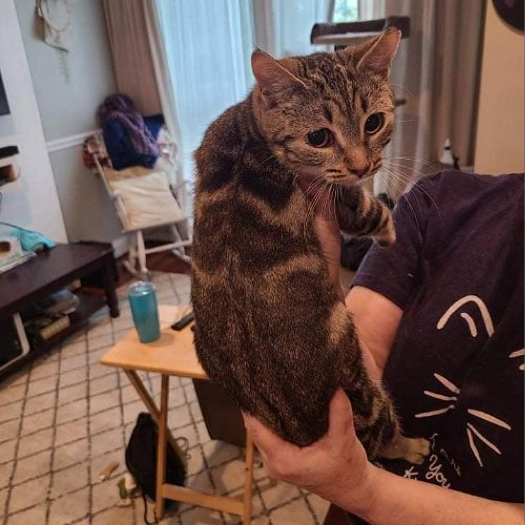 Tasha