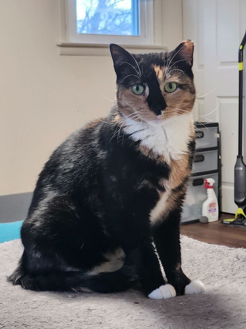 Kiara