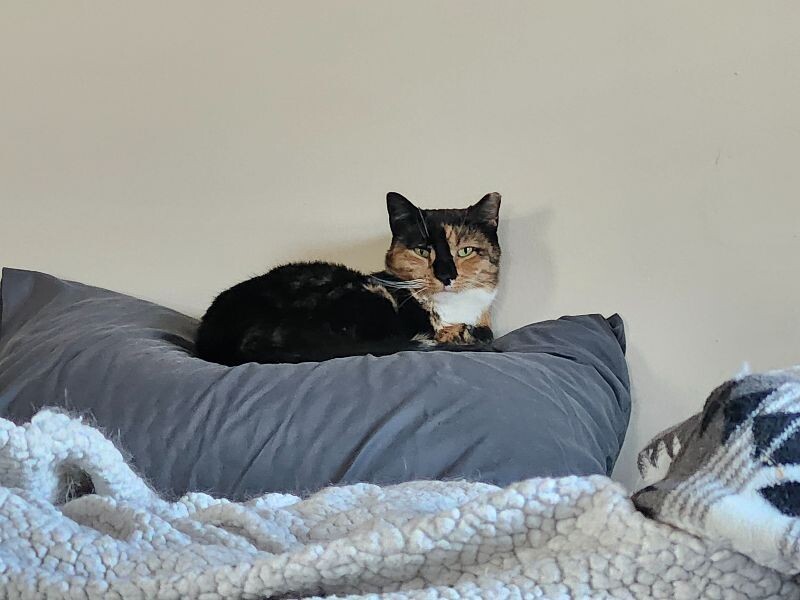 Kiara